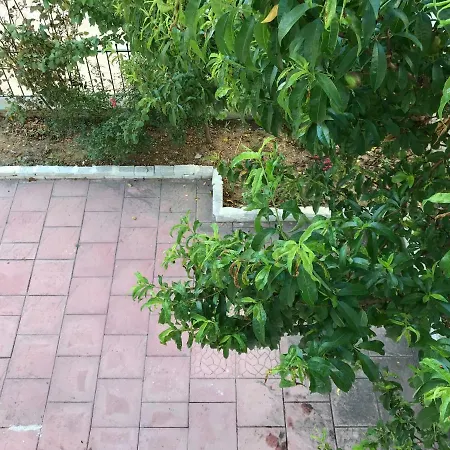 Your Place In Kallithea, Halkidiki, Greece Kallithea (Chalkidiki)